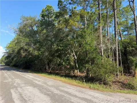 Residential Homesite with Paved Access
