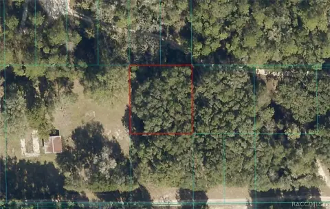 Vacant Residential Lot in Meadows Subdivision