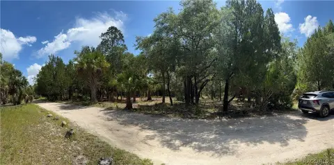 Residential Land Lot with Partial Clearing