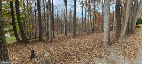 Buildable Lot in Shenandoah Farms