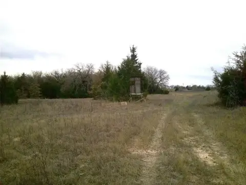 20 Acres of Texas Land