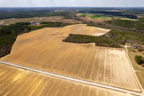 203 Acres Vacant Land