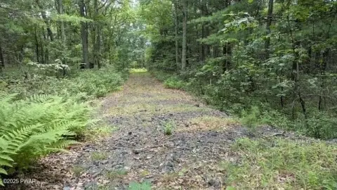 Milford, PA Land with Views