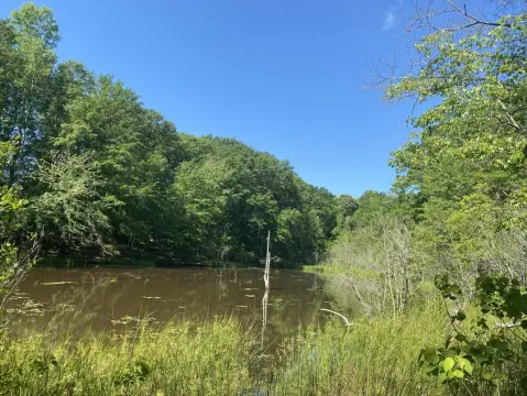 Lapine, AL Vacant Hunting Land