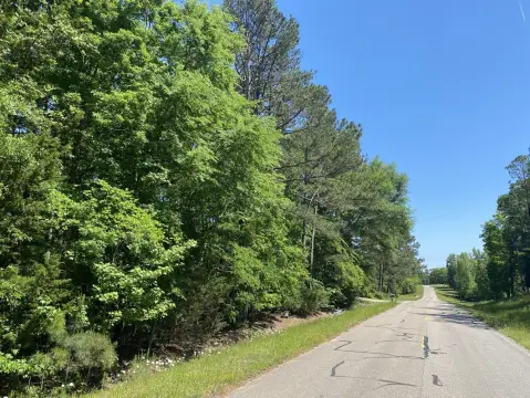 Lapine, AL Vacant Wooded Land