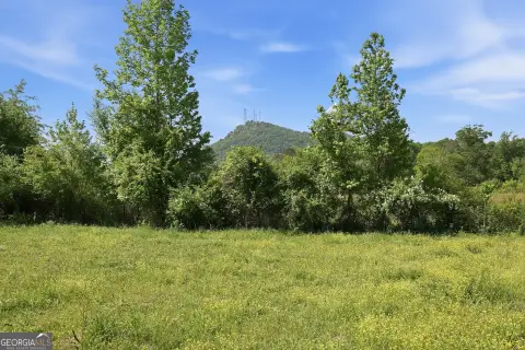 Fenced Mountain View Farm with River