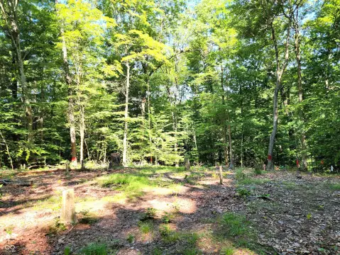 Martinsville Residential Wooded Lot