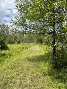 Laona, WI Residential Lot