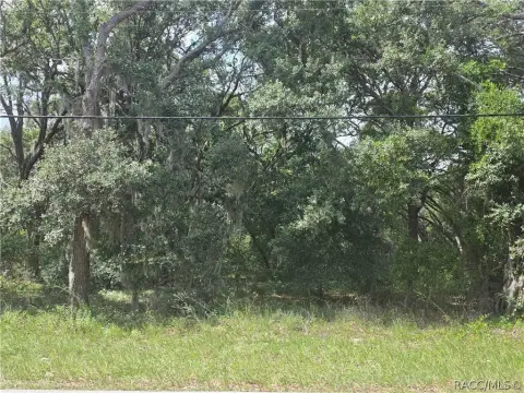 Residential Homesite with Utilities