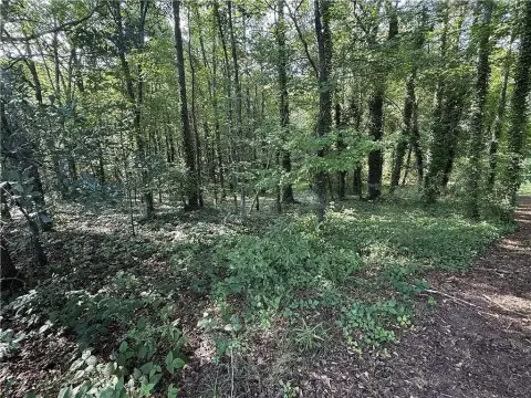 Private Homesite Land Parcel