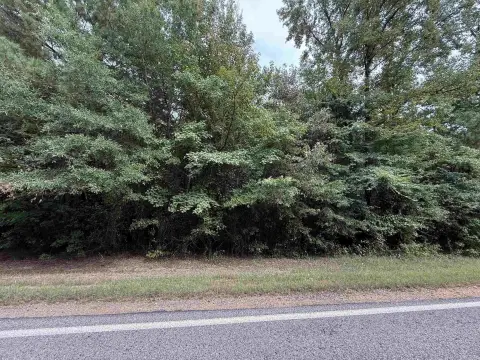 Highway Frontage Acreage in Nashville