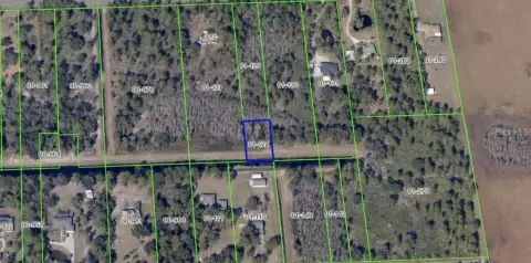 Affordable Land in Growing Wedgefield