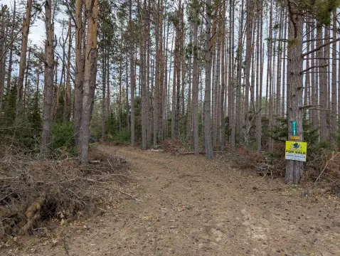 10 Acres with Creek Access
