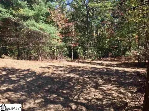 Homesite in The Cliffs Valley