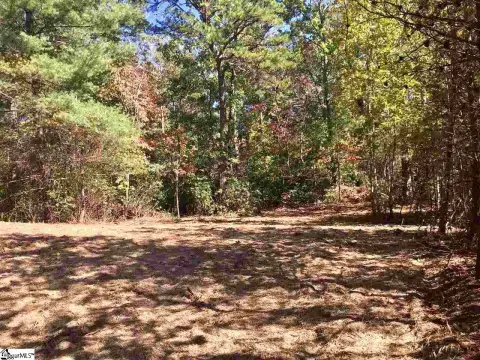 Homesite in The Cliffs Valley