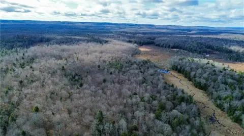 Untouched Land in Southern Adirondacks