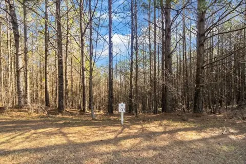 Gated Estate Lot with Mountain Views