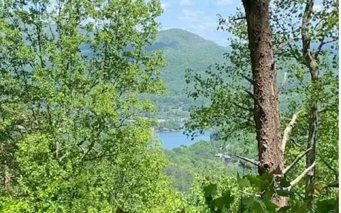 Hiawassee, GA Wooded Lot