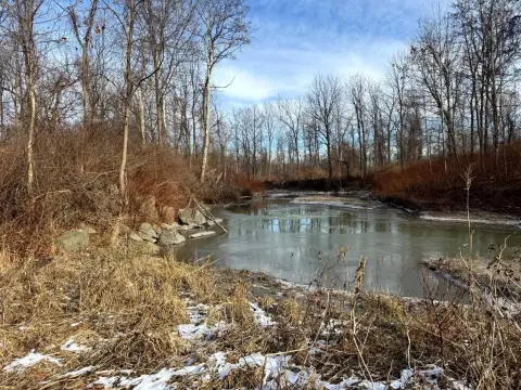 Scenic Land Near Keshequa Creek