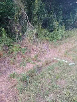 Residential Land Near Gemini Springs