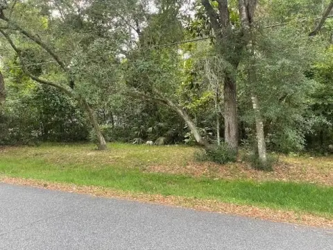 Ochlockonee Riverfront Land Parcel