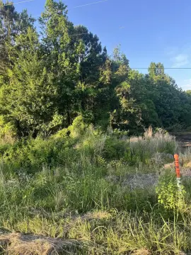 Residential Land in Monticello, AR
