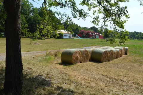 24.85 Acres Rolling Hills Property