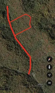 Hunting Land with Access