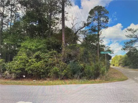 Corner Homesite on Paved Road