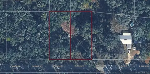 Vacant Residential Lot Pair