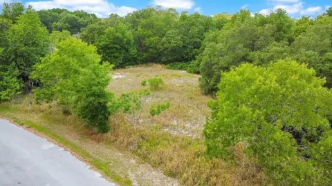 Residential Land in Ocala, FL