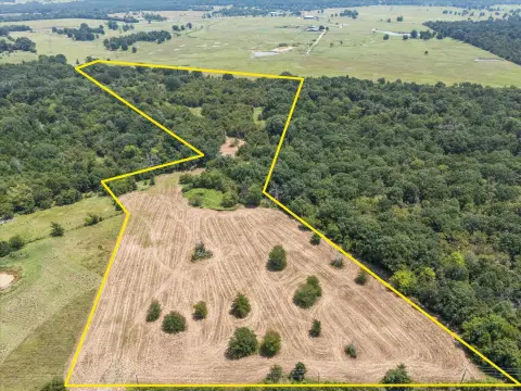Agricultural Land with Road Frontage