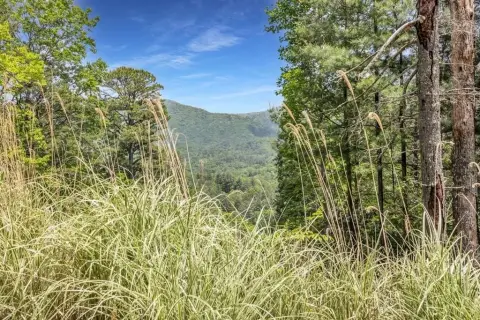 98+ Acres in North Georgia