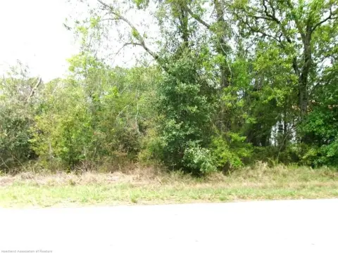 Land Near Lake Placid