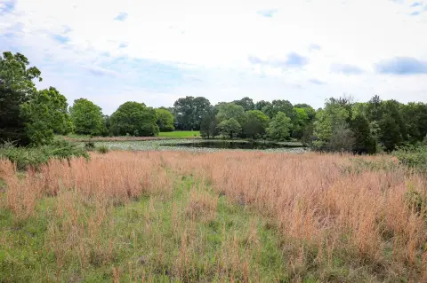 40 Acre Retreat Near McGee Lake