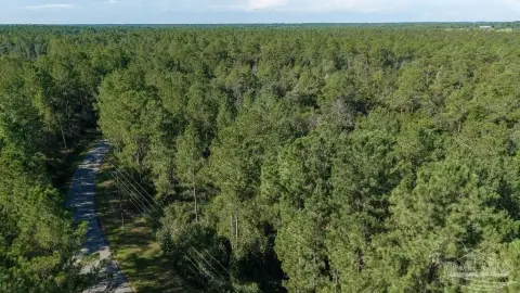 Wooded Recreation Land