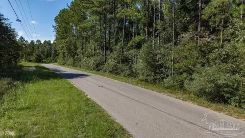 Wooded Land With Road Frontage