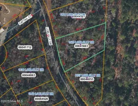Buildable Lot in Woodlake, NC