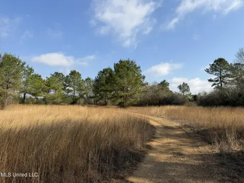 37 Acres in Marion County