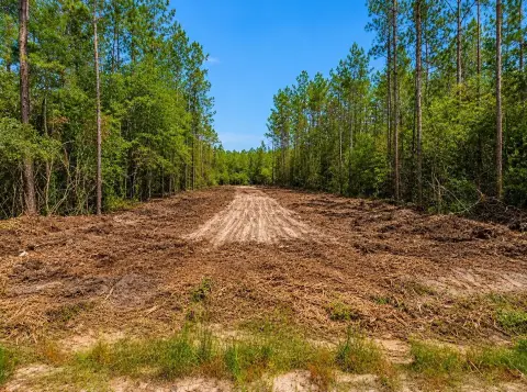 Kountze, TX 17+ Acre Tract