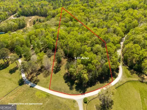5-Acre Homesite in Anderson Creek