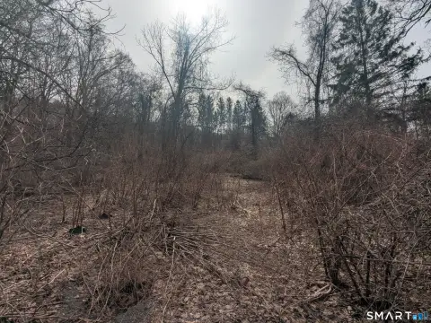 Waterbury Land Development Opportunity