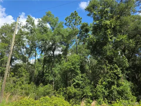 Buildable Residential Homesite