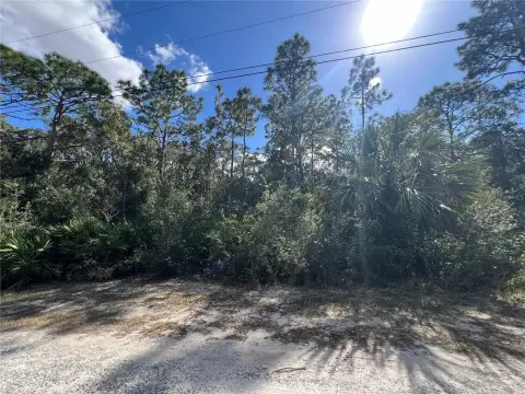 Residential Land in Crystal River