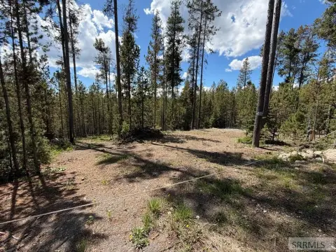 Wooded RV-Ready Lot