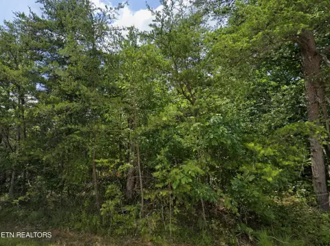 Residential Land in Crossville, TN