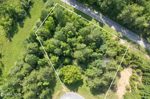 Wooded Lot Near Watts Bar