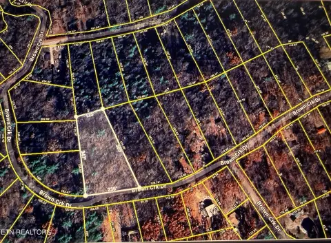 Unrestricted Wooded Land in Crossville