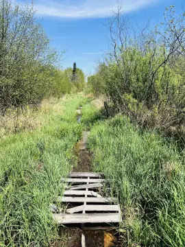 40 Acres Hunting Land Paradise