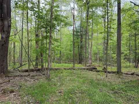 Wooded Hunting Land with Creek